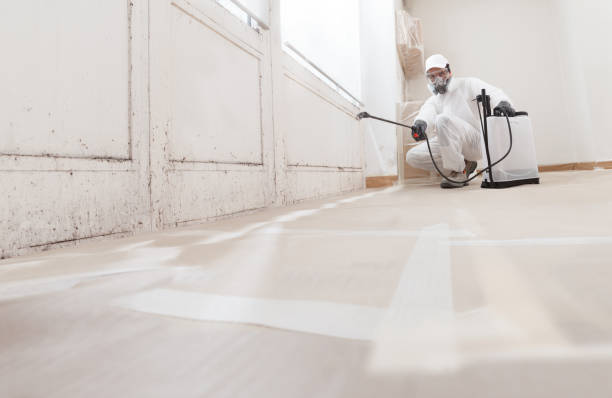 24/7 Emergency Attic Mold Removal experts in Summit, NJ