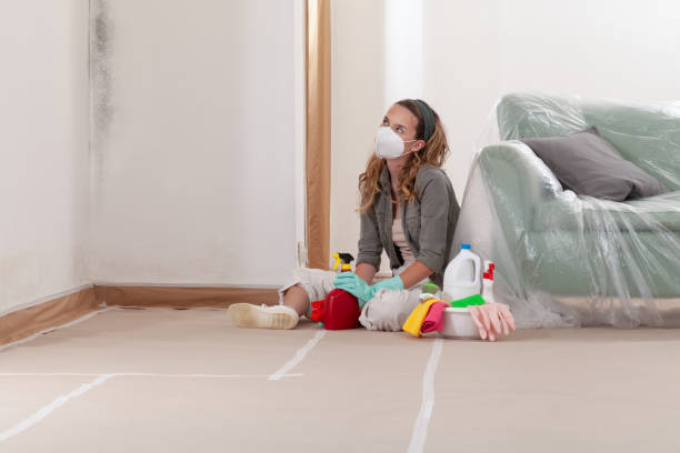Reliable Attic Mold Removal contractor in Summit, NJ by WQB Mold Removal